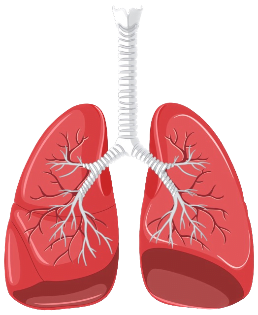 respiratory cure dr Shivraj hospital