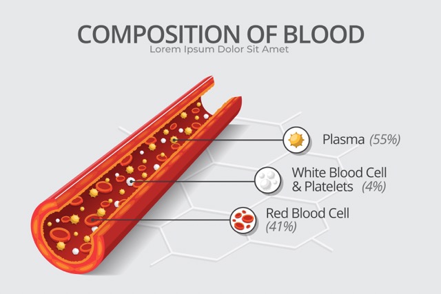 red blood cells